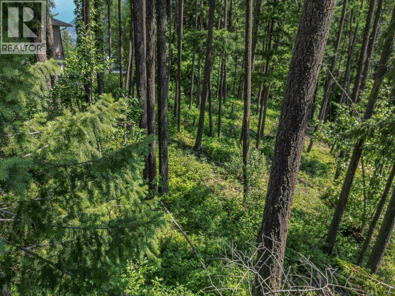 Lot 25 Forest View Place, Blind Bay, British Columbia  V0E 1H1 - Photo 21 - 10278634