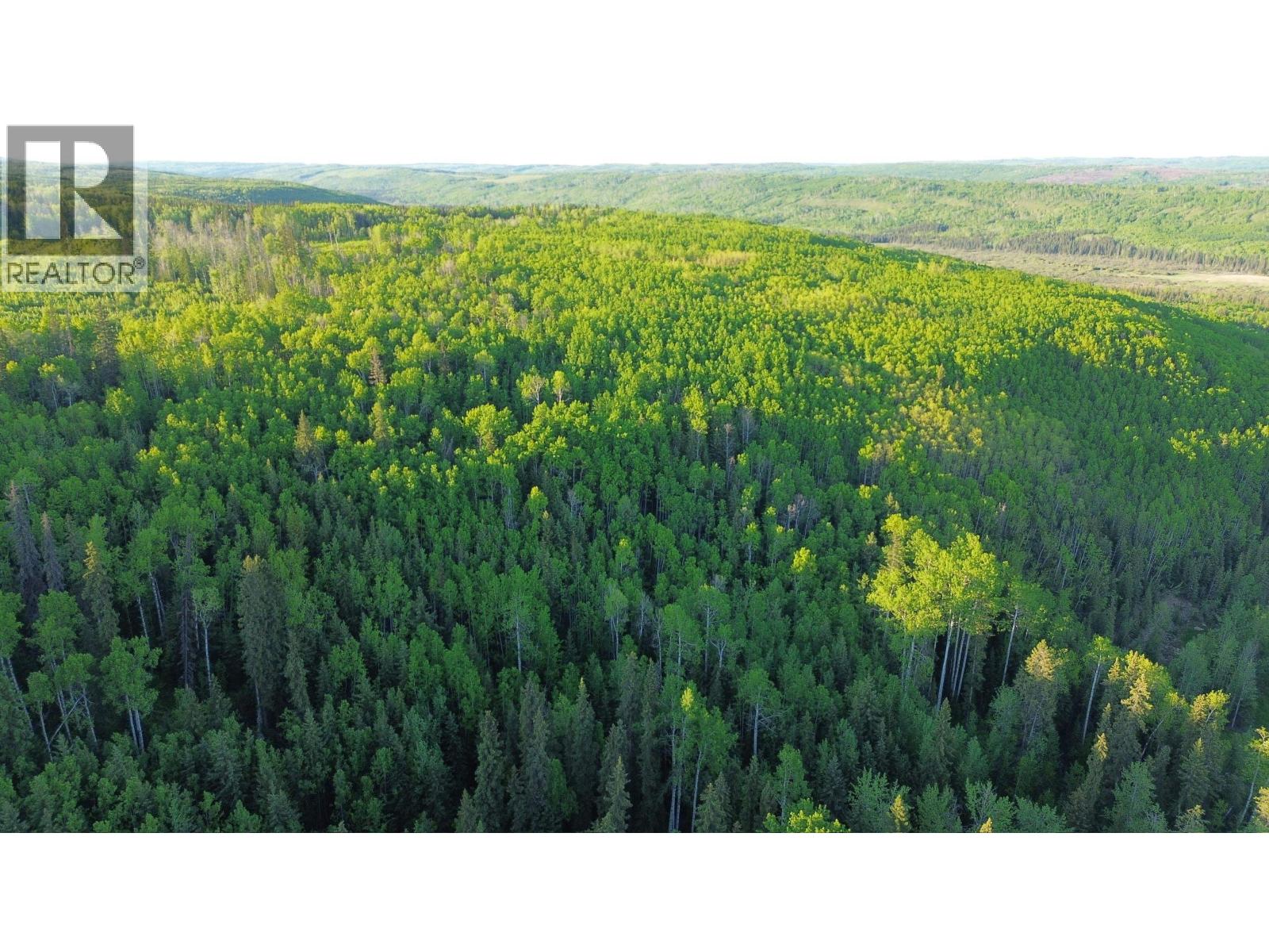 24 Inga Lake Road, Wonowon, British Columbia  V0C 2N0 - Photo 2 - R3139101