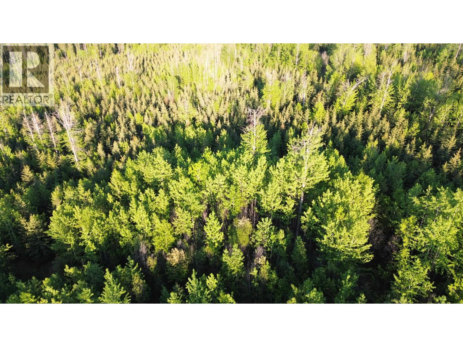 24 Inga Lake Road, Wonowon, British Columbia  V0C 2N0 - Photo 6 - R3139101