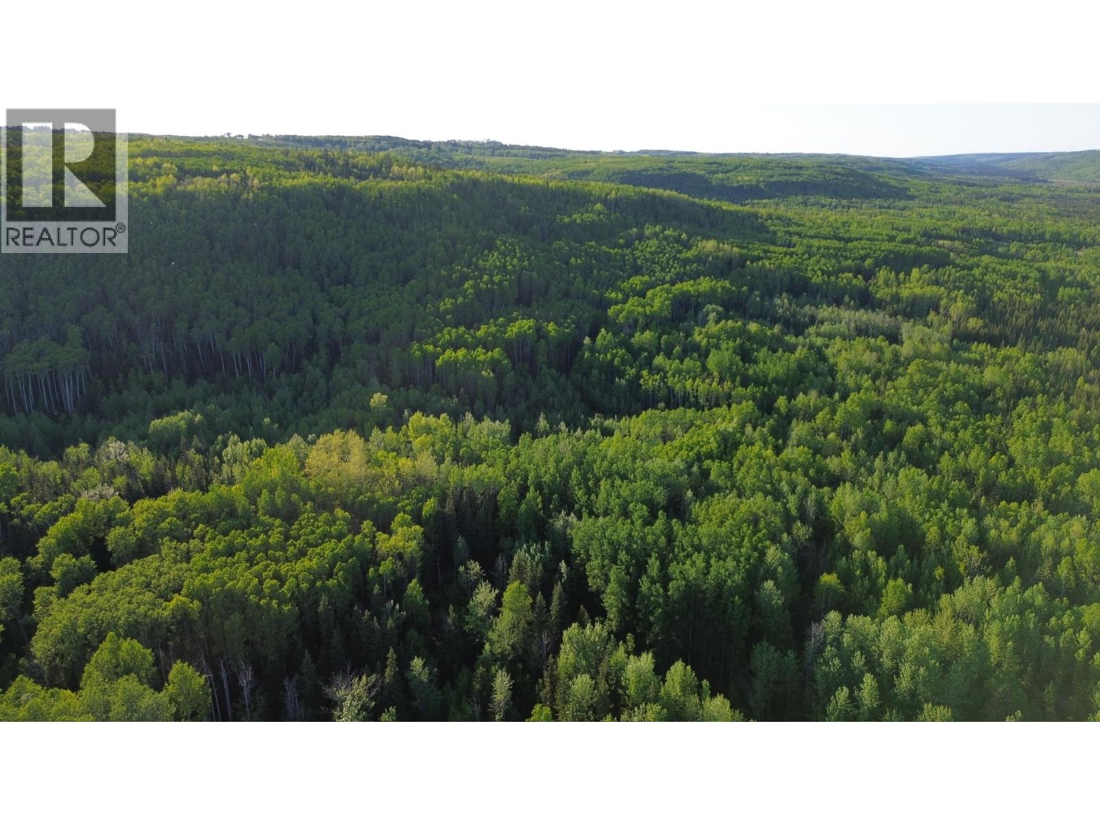 24 Inga Lake Road, Wonowon, British Columbia  V0C 2N0 - Photo 16 - R3139101