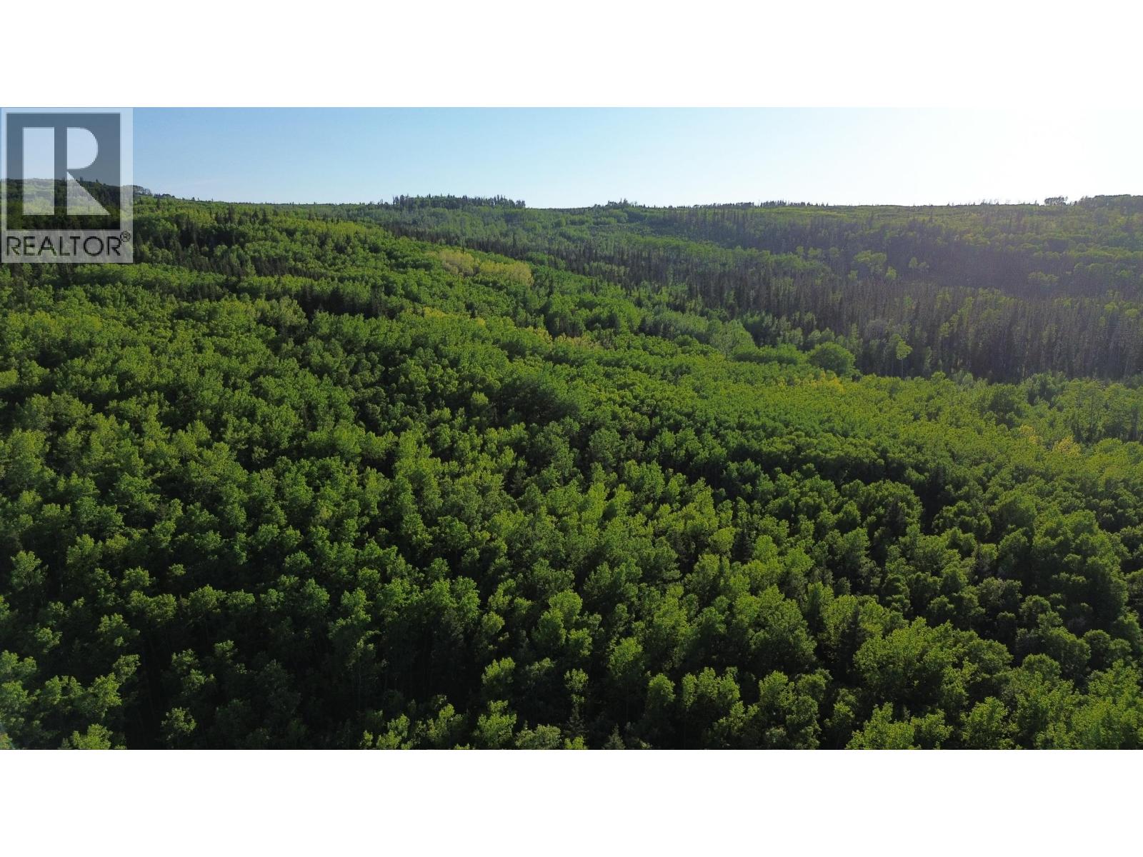 24 Inga Lake Road, Wonowon, British Columbia  V0C 2N0 - Photo 13 - R3139101