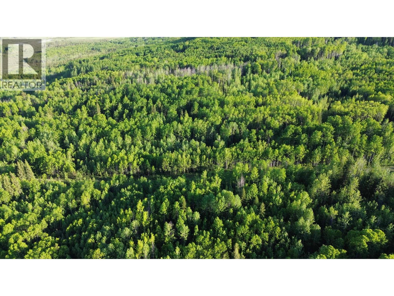 24 Inga Lake Road, Wonowon, British Columbia  V0C 2N0 - Photo 20 - R3139101