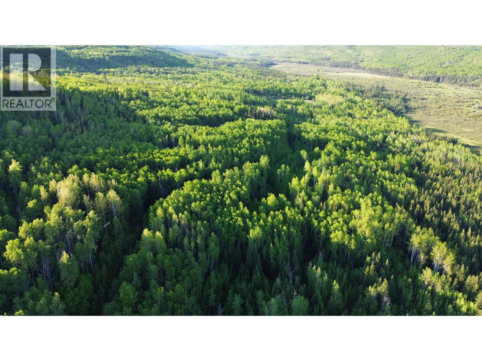 24 Inga Lake Road, Wonowon, British Columbia  V0C 2N0 - Photo 14 - R3139101