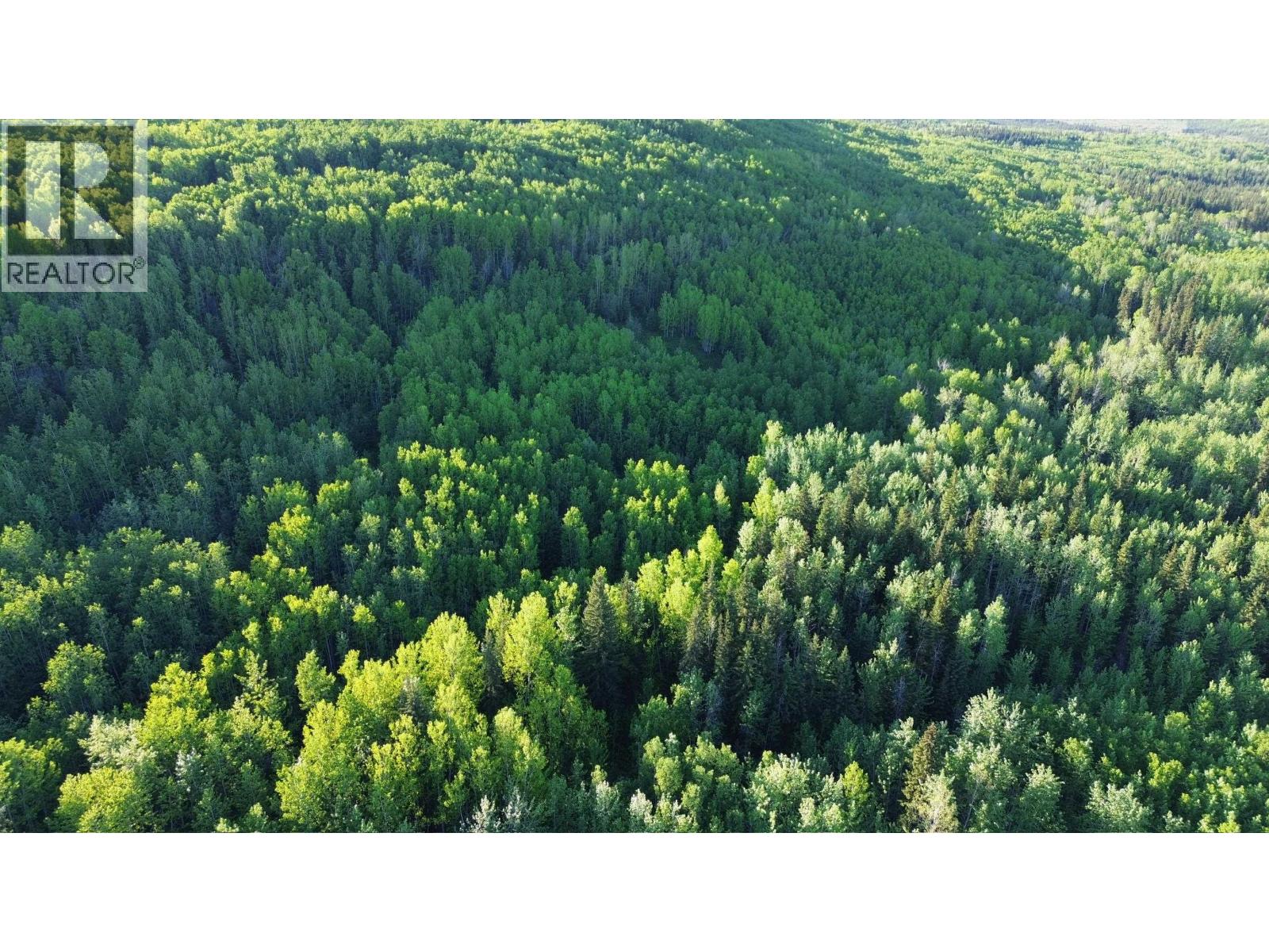 24 Inga Lake Road, Wonowon, British Columbia  V0C 2N0 - Photo 11 - R3139101