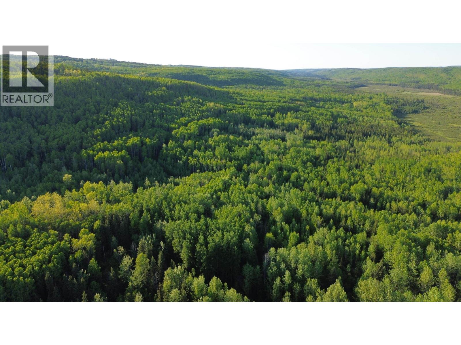 24 Inga Lake Road, Wonowon, British Columbia  V0C 2N0 - Photo 19 - R3139101