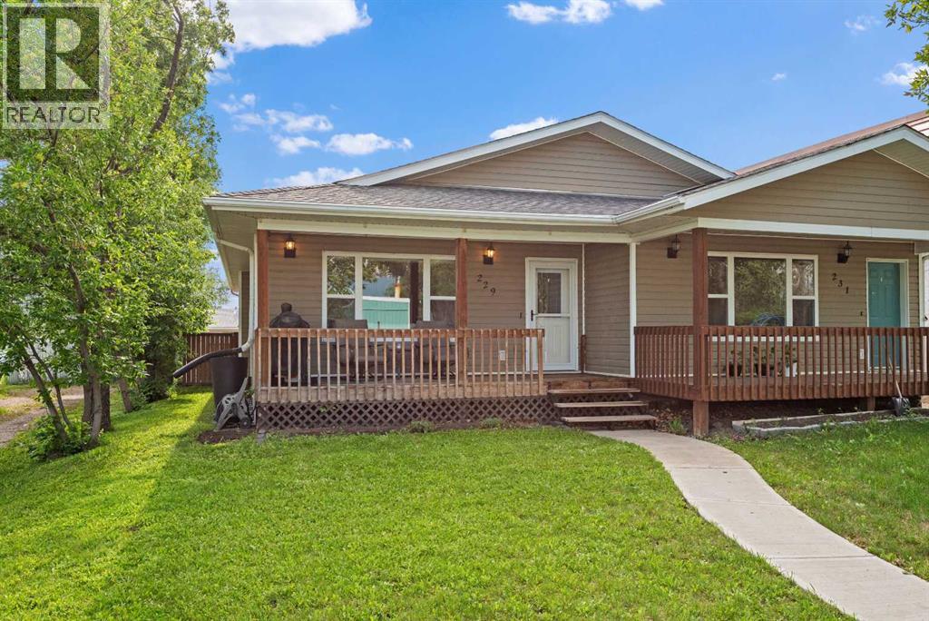 229 3 Avenue Ne, Three Hills, Alberta  T0M 2A0 - Photo 2 - A2323363
