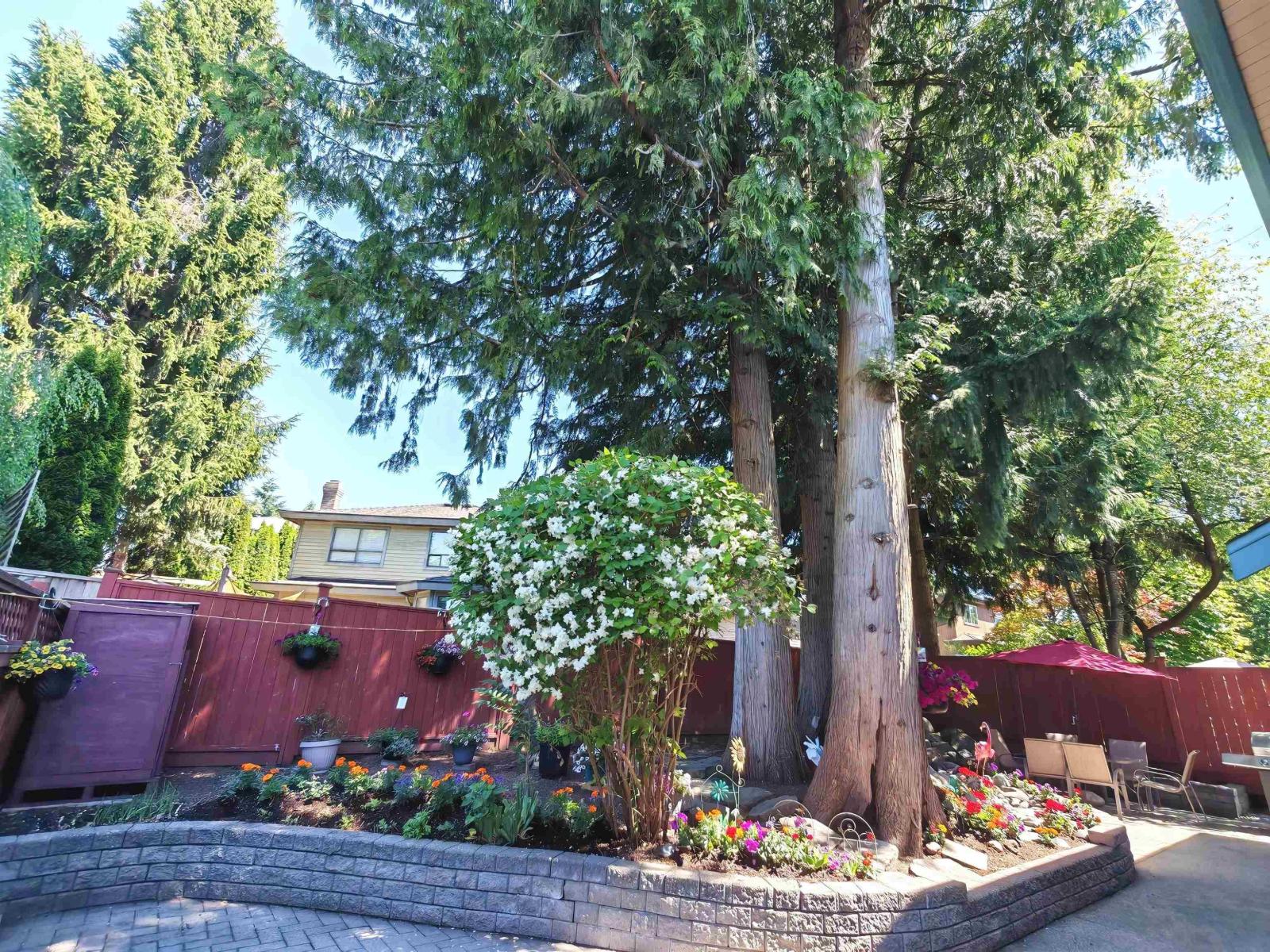 11933 Woodgrove Avenue, Delta, British Columbia  V4E 3H2 - Photo 28 - R3139018