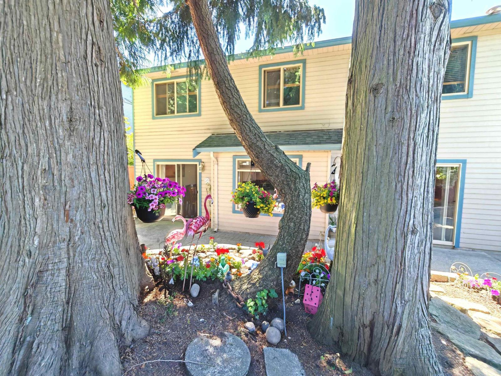 11933 Woodgrove Avenue, Delta, British Columbia  V4E 3H2 - Photo 35 - R3139018