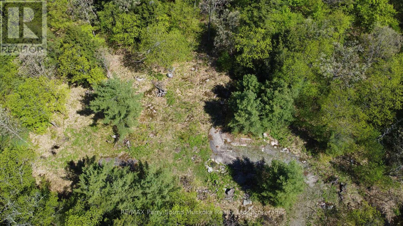 175 North Sandy Plains Road, Seguin, Ontario  P2A 2W8 - Photo 18 - X13482340