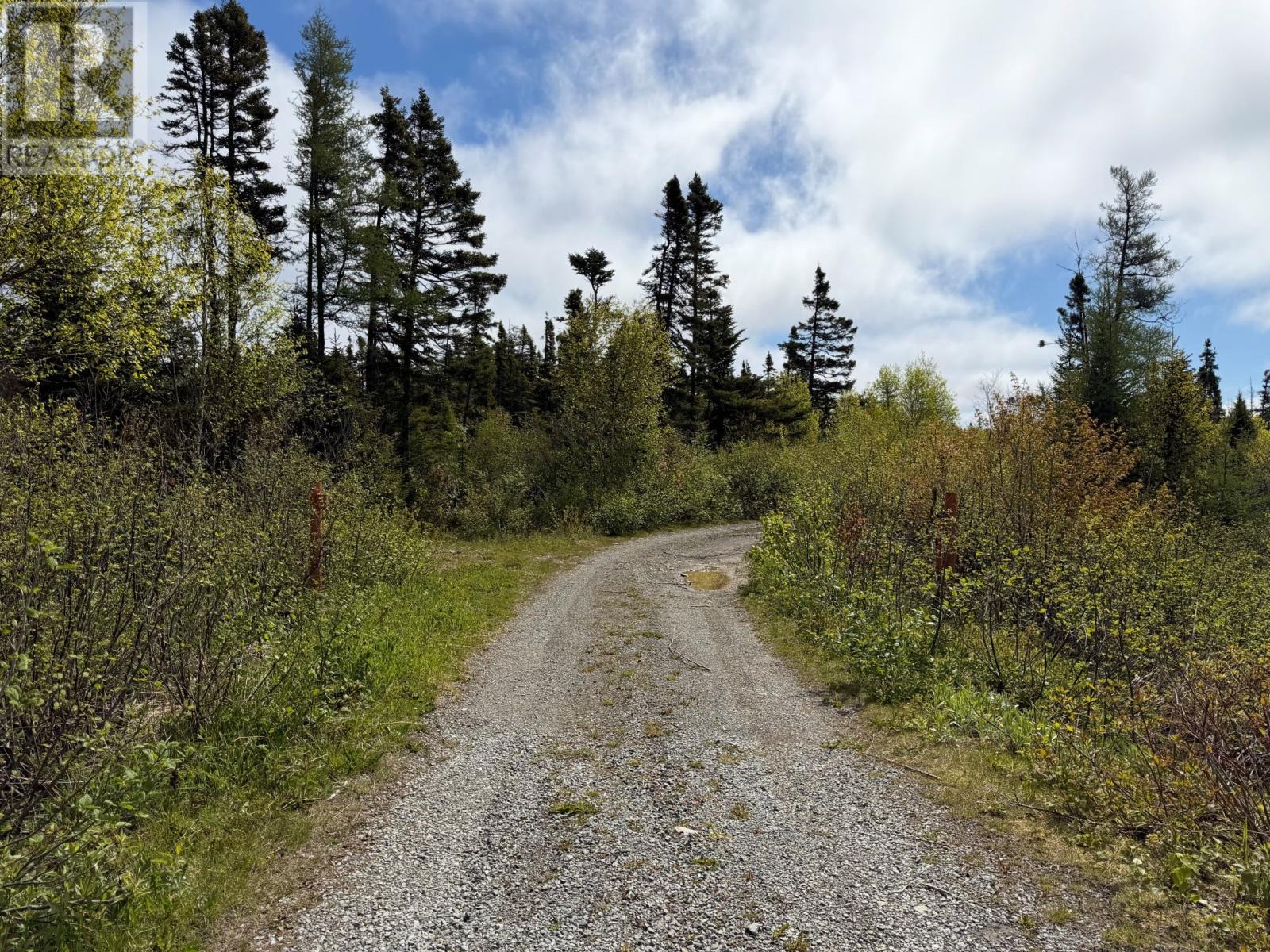 0 Main Street, Dog Bay, Newfoundland & Labrador  A0G 3R0 - Photo 1 - 1299404