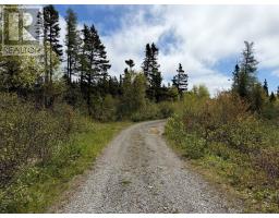 <div class="price">$150,000</div> 0 Main Street<br>Dog Bay, Newfoundland & Labrador<br>