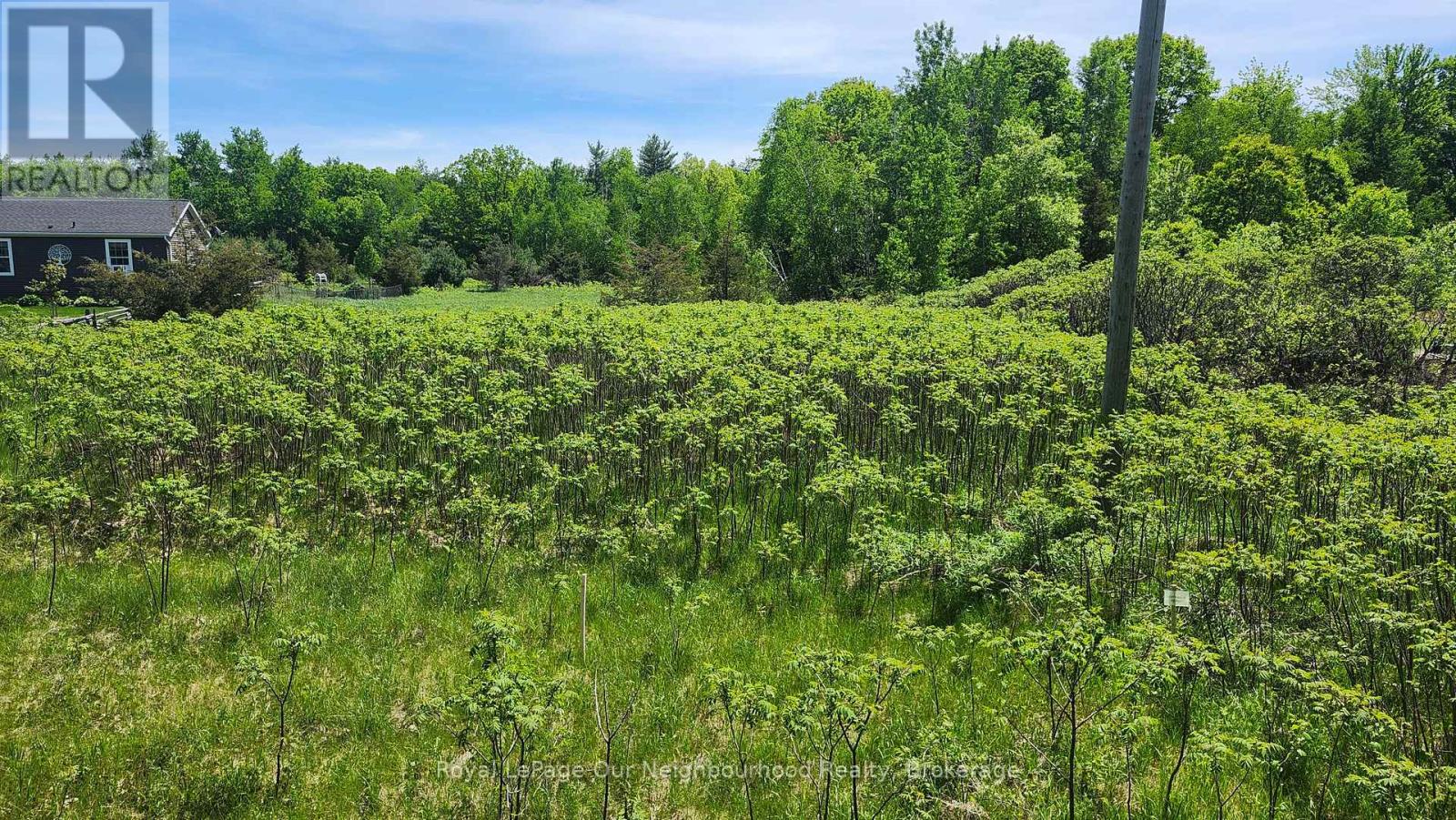 Lot 14 Trent River Road, Trent Hills, Ontario  K0L 1Z0 - Photo 1 - X12549124