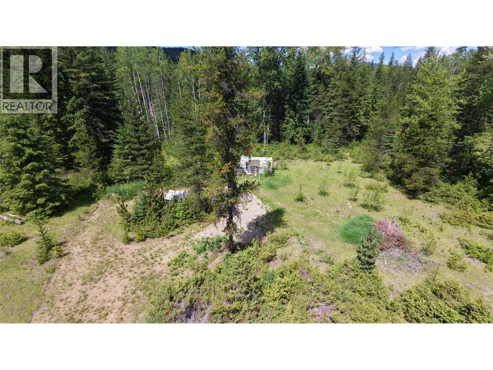 Barnes Creek Forest Service Road Lot# 34, Needles, British Columbia V0G 1J0 - Photo 15 - 10379532