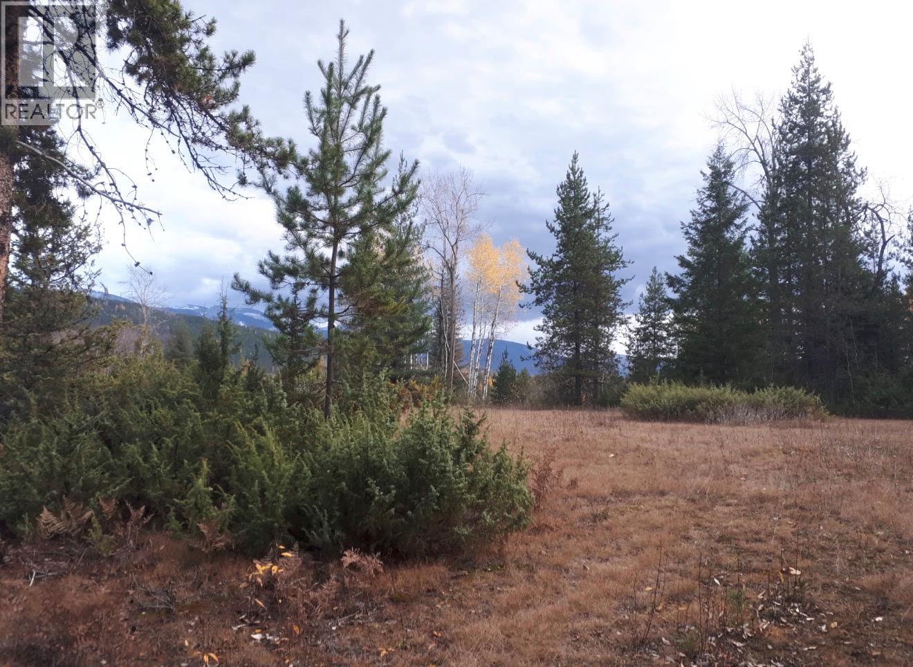 Barnes Creek Forest Service Road Lot# 34, Needles, British Columbia V0G 1J0 - Photo 19 - 10379532