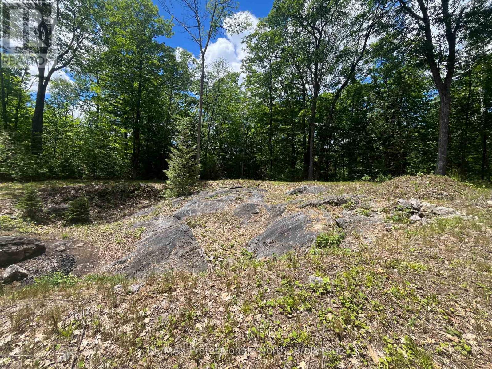 0 Salerno Lake Road, Minden Hills, Ontario  K0M 1X0 - Photo 10 - X13482900