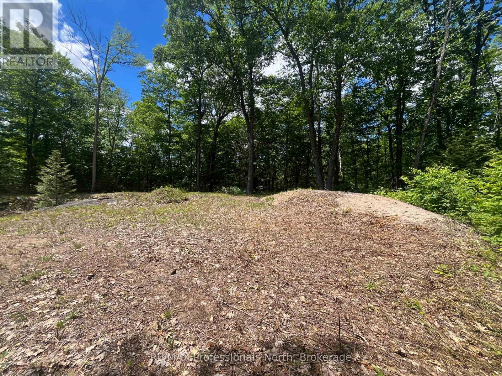 0 Salerno Lake Road, Minden Hills, Ontario  K0M 1X0 - Photo 12 - X13482900