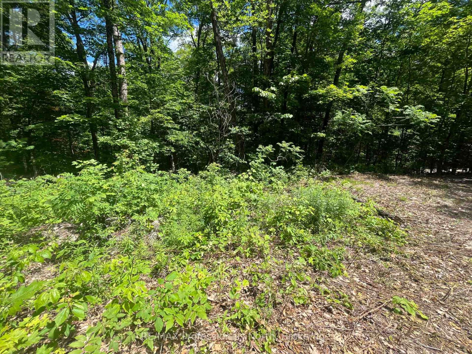 0 Salerno Lake Road, Minden Hills, Ontario  K0M 1X0 - Photo 13 - X13482900
