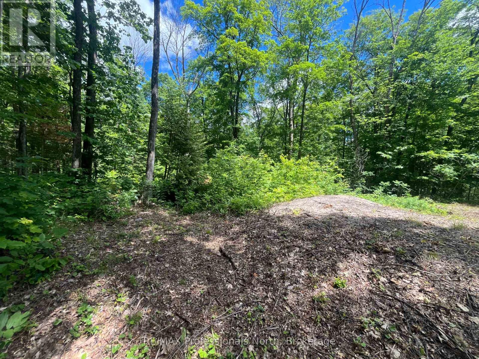 0 Salerno Lake Road, Minden Hills, Ontario  K0M 1X0 - Photo 16 - X13482900