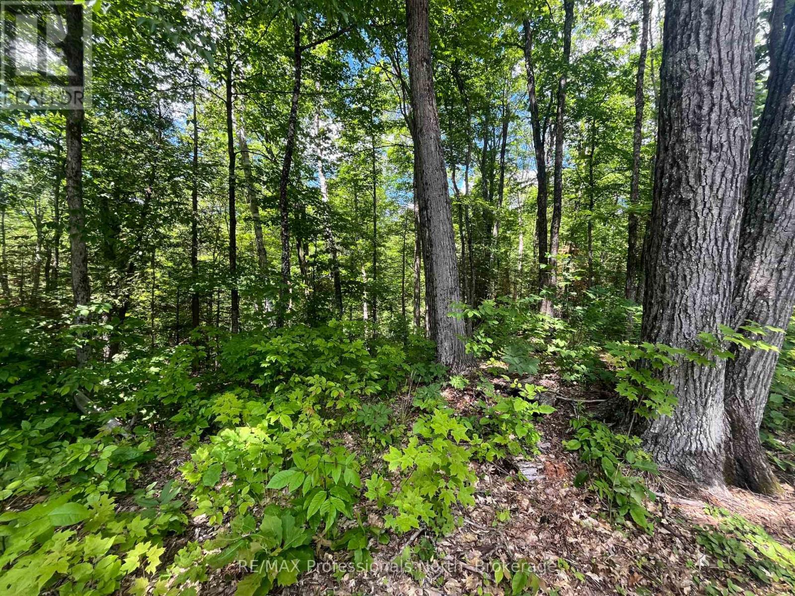 0 Salerno Lake Road, Minden Hills, Ontario  K0M 1X0 - Photo 17 - X13482900
