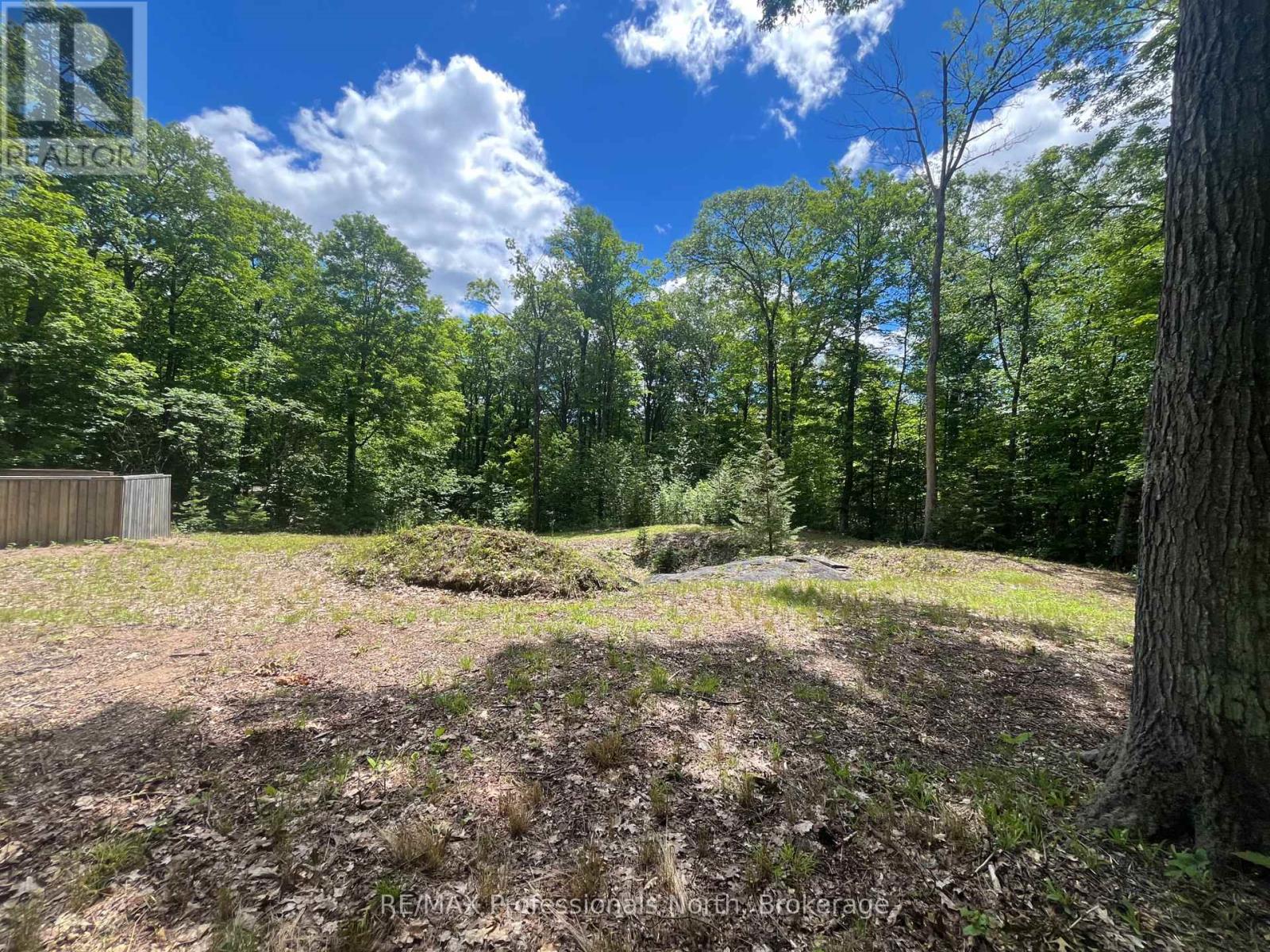0 Salerno Lake Road, Minden Hills, Ontario  K0M 1X0 - Photo 18 - X13482900