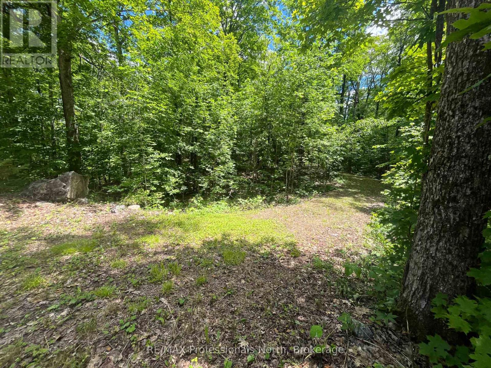 0 Salerno Lake Road, Minden Hills, Ontario  K0M 1X0 - Photo 24 - X13482900