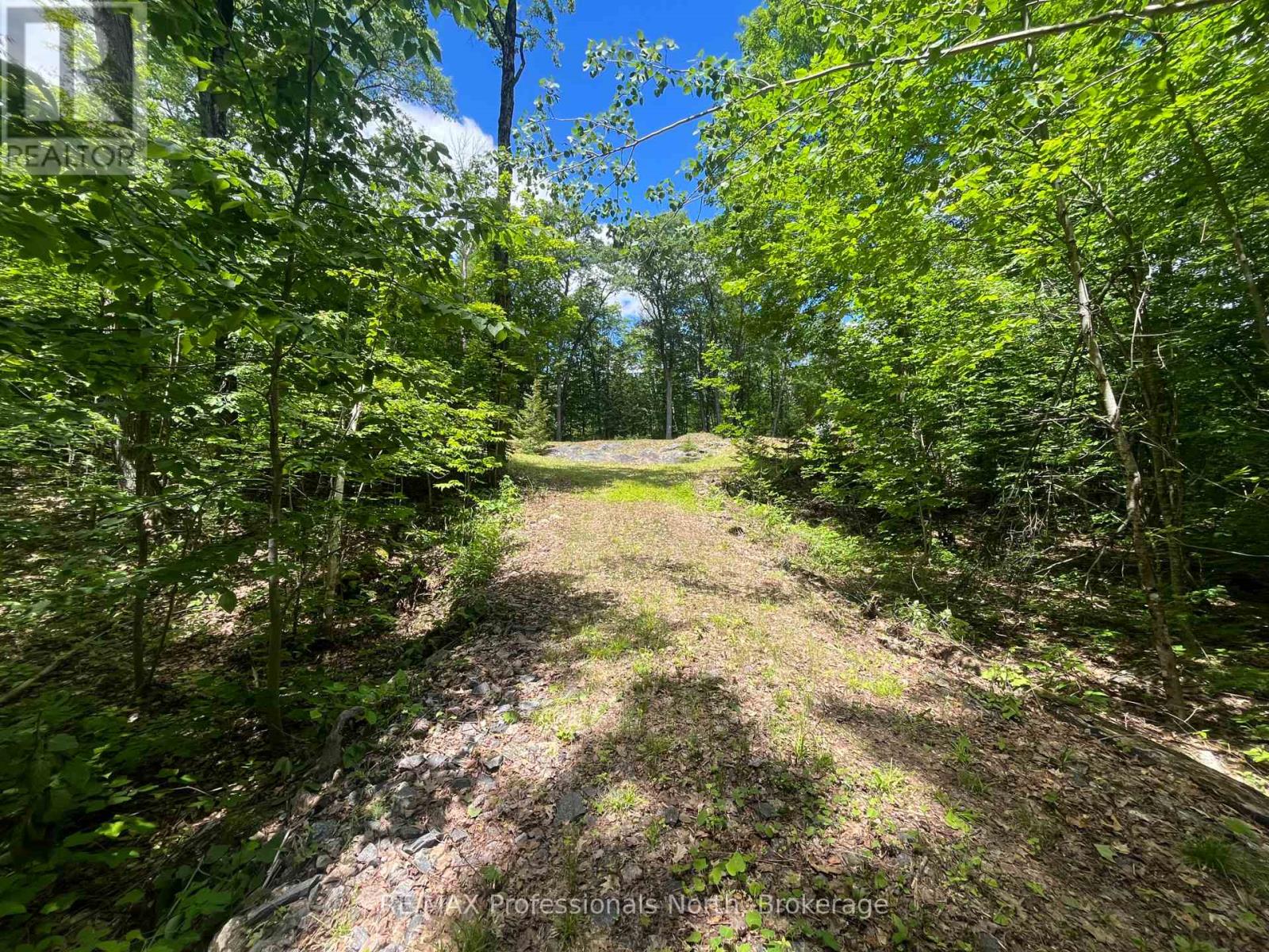 0 Salerno Lake Road, Minden Hills, Ontario  K0M 1X0 - Photo 26 - X13482900