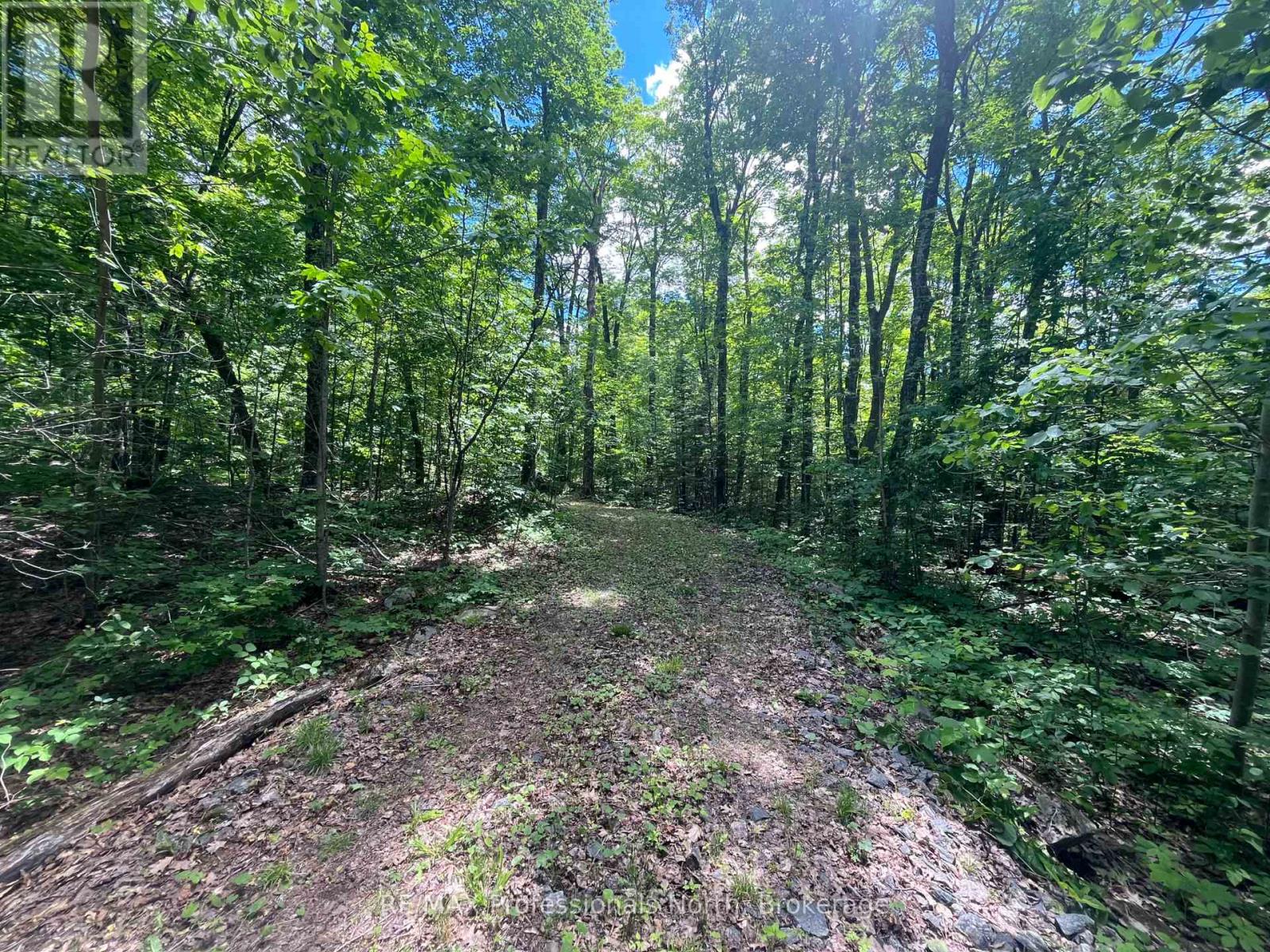 0 Salerno Lake Road, Minden Hills, Ontario  K0M 1X0 - Photo 27 - X13482900