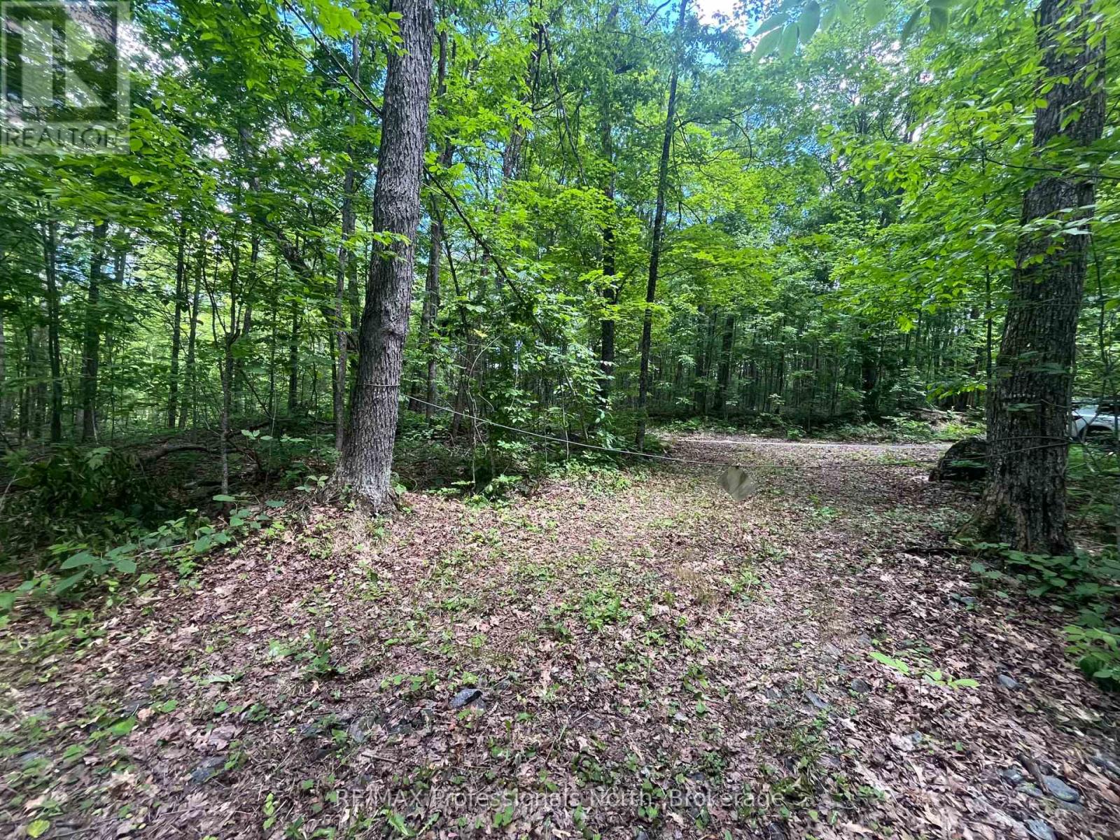 0 Salerno Lake Road, Minden Hills, Ontario  K0M 1X0 - Photo 28 - X13482900