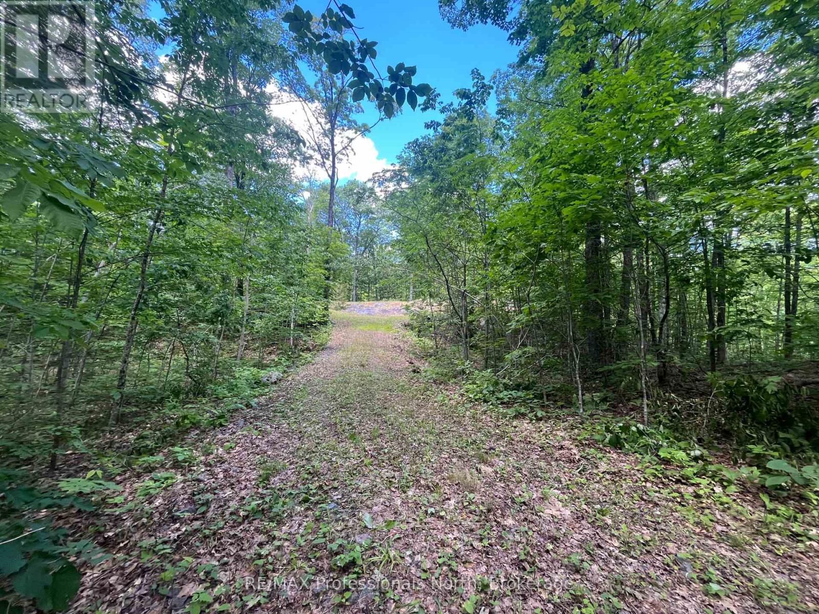 0 Salerno Lake Road, Minden Hills, Ontario  K0M 1X0 - Photo 29 - X13482900