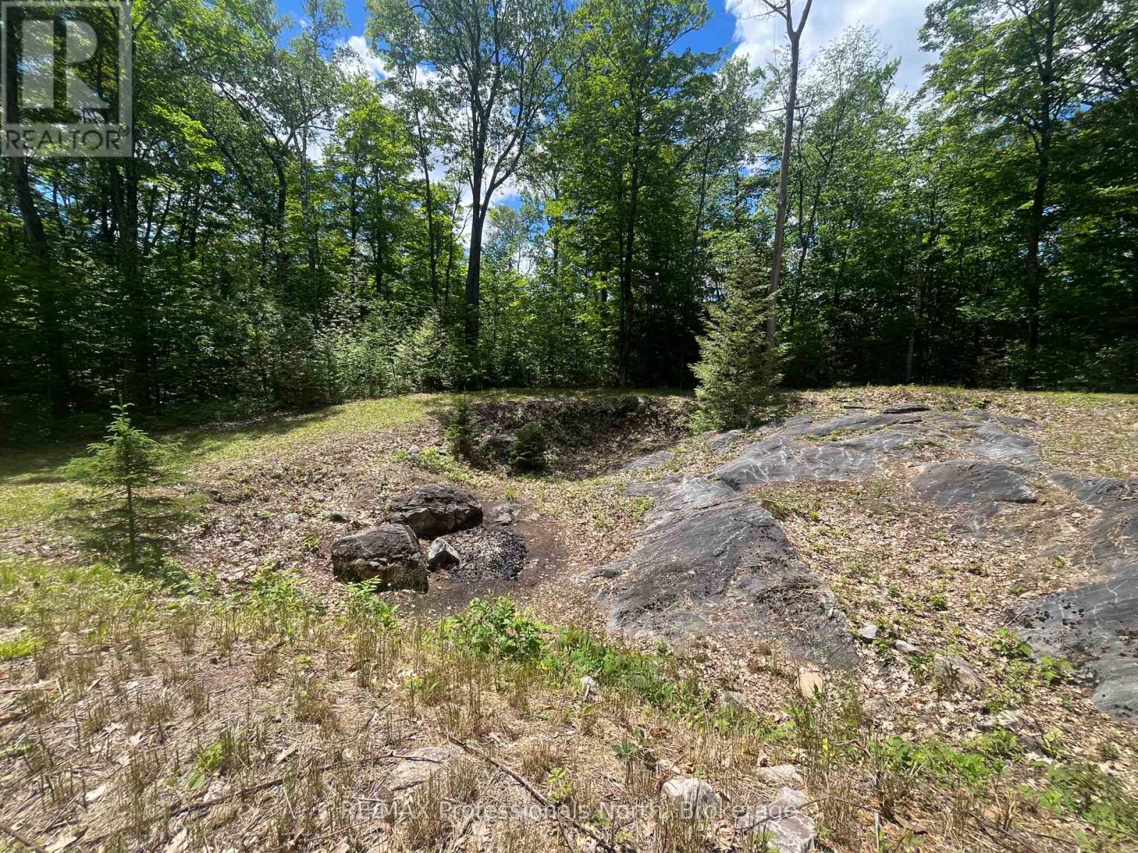 0 Salerno Lake Road, Minden Hills, Ontario  K0M 1X0 - Photo 3 - X13482900
