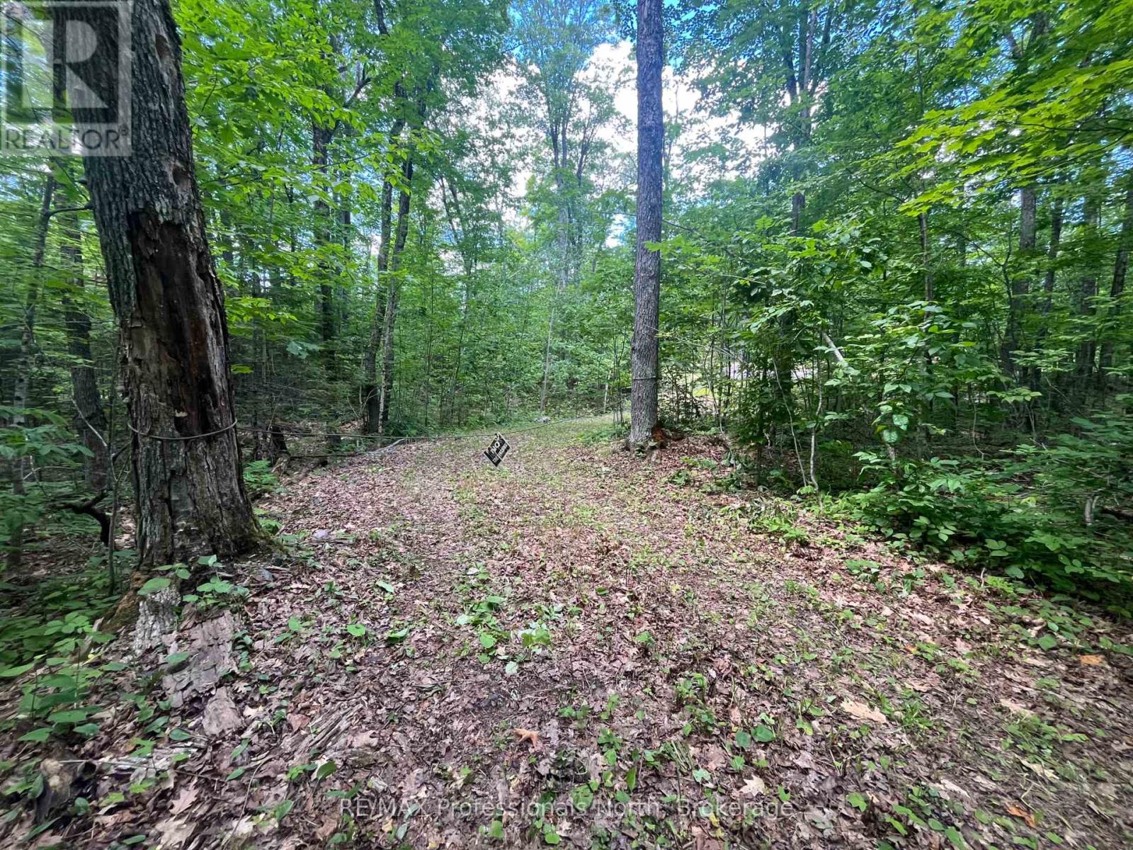 0 Salerno Lake Road, Minden Hills, Ontario  K0M 1X0 - Photo 30 - X13482900