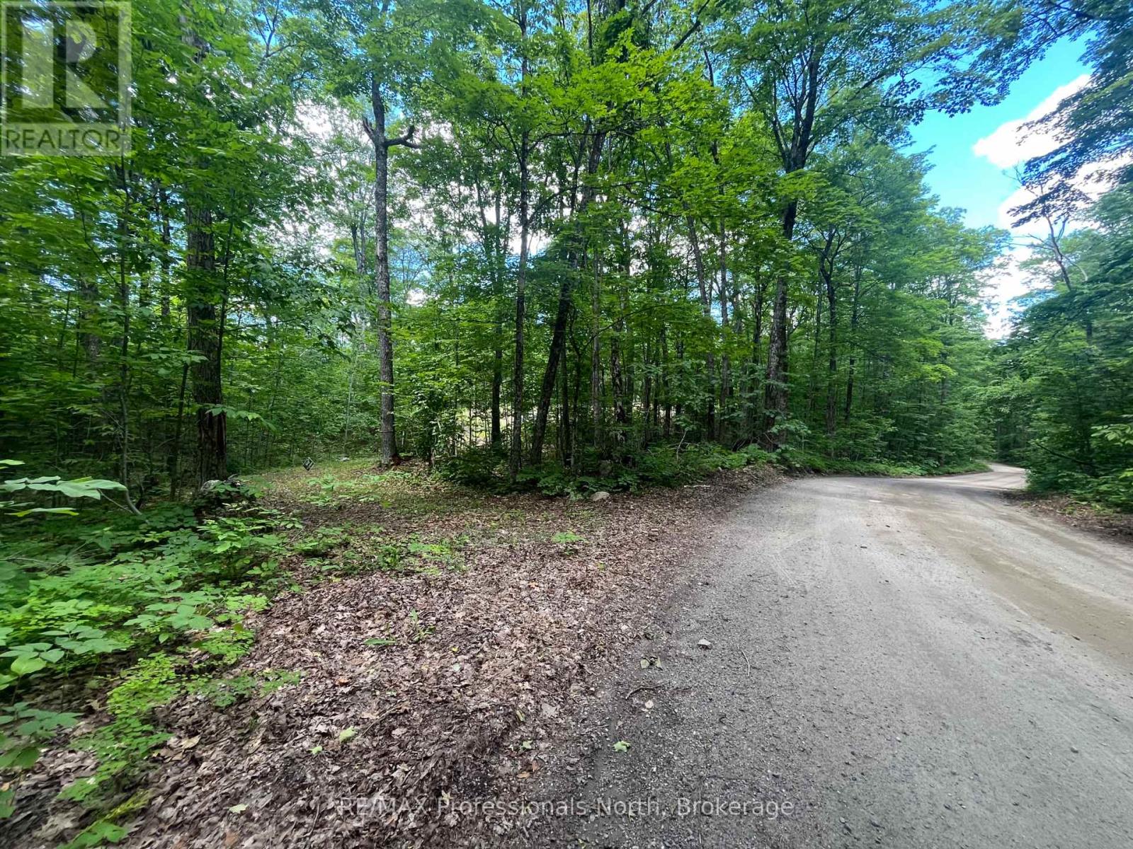 0 Salerno Lake Road, Minden Hills, Ontario  K0M 1X0 - Photo 31 - X13482900