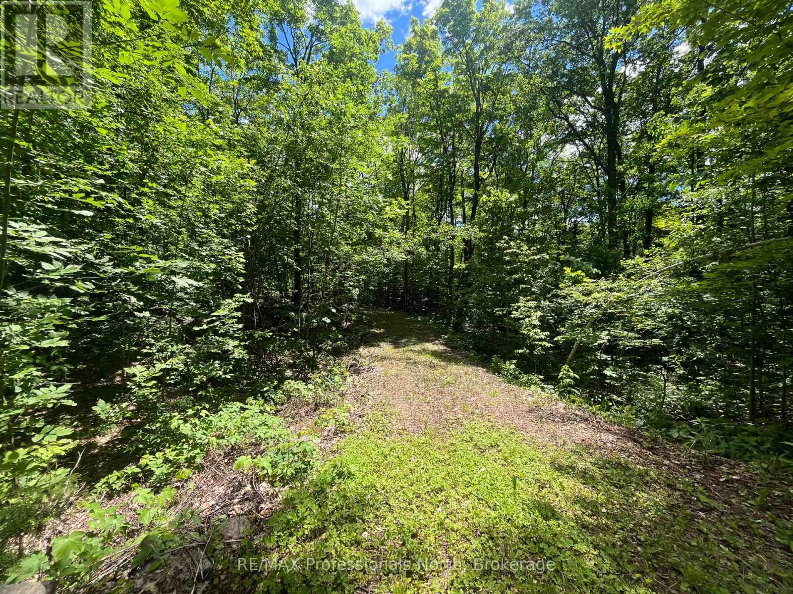 0 Salerno Lake Road, Minden Hills, Ontario  K0M 1X0 - Photo 32 - X13482900
