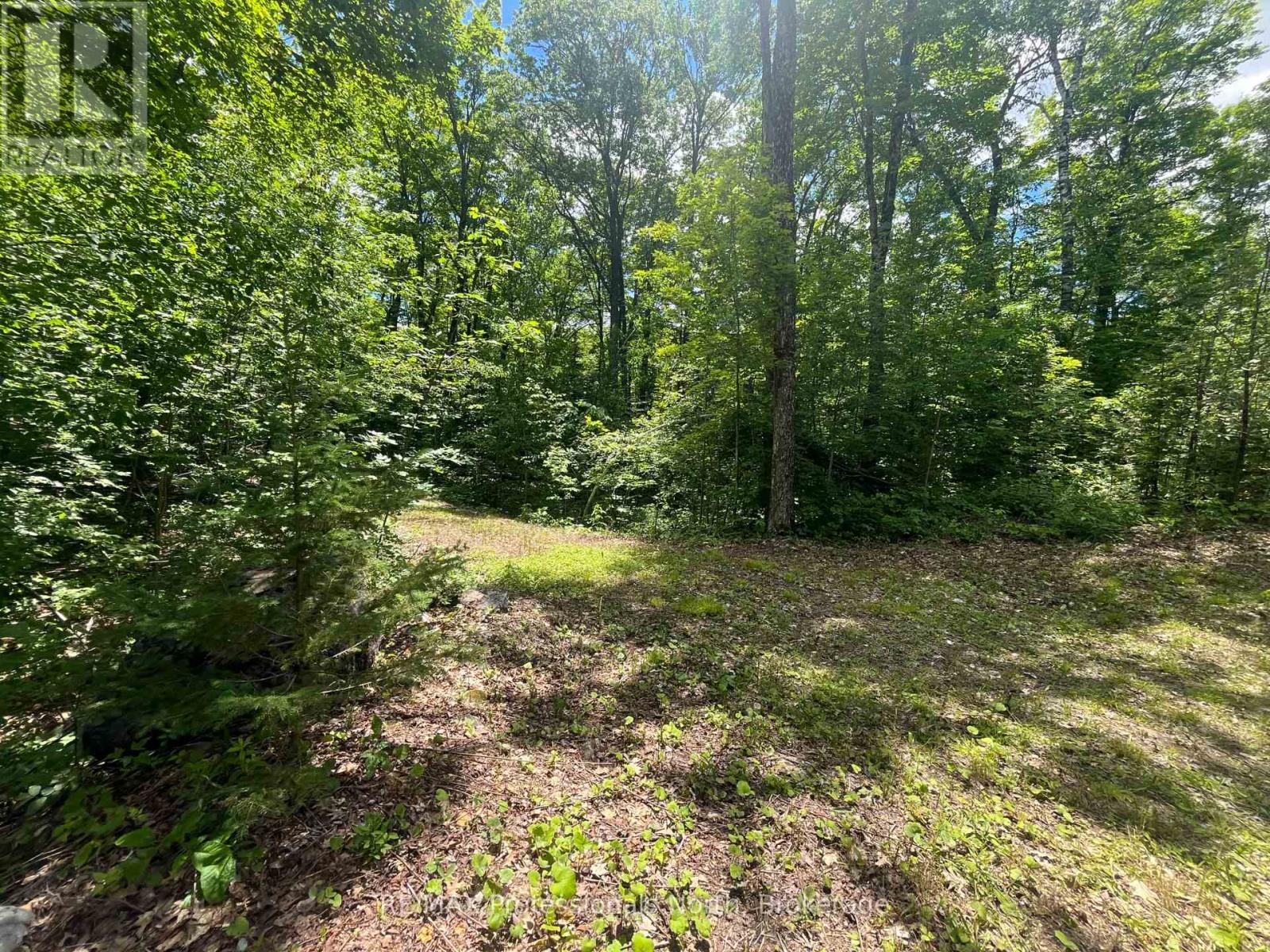 0 Salerno Lake Road, Minden Hills, Ontario  K0M 1X0 - Photo 33 - X13482900