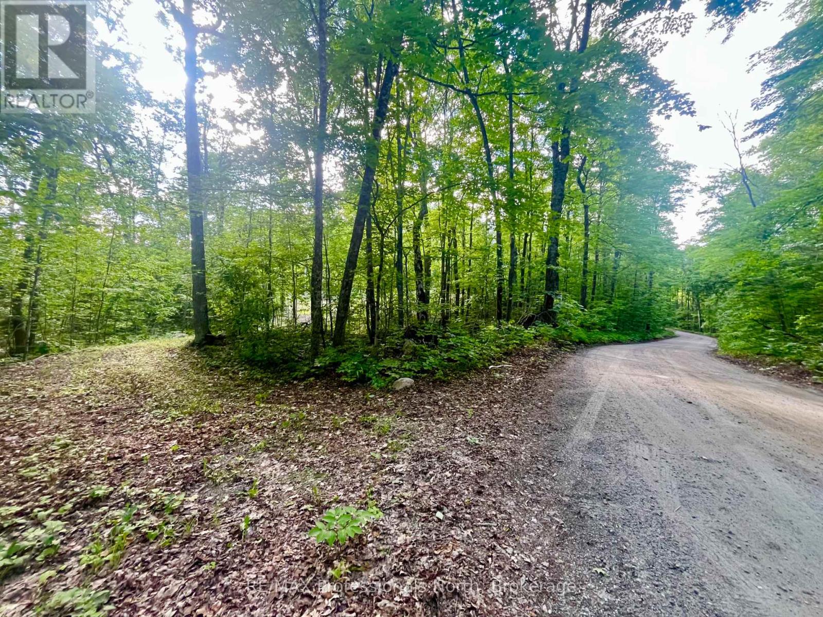 0 Salerno Lake Road, Minden Hills, Ontario  K0M 1X0 - Photo 34 - X13482900