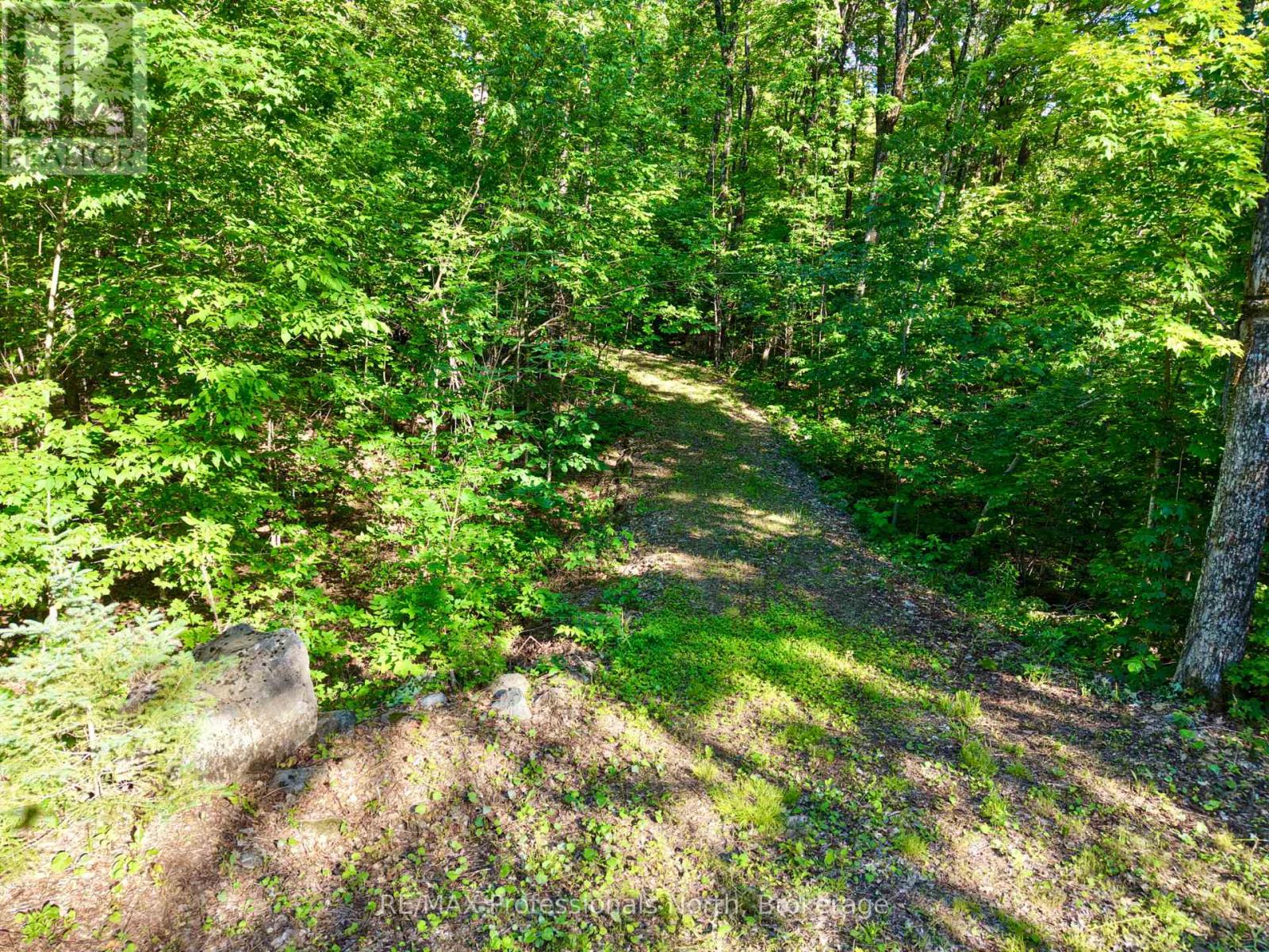 0 Salerno Lake Road, Minden Hills, Ontario  K0M 1X0 - Photo 35 - X13482900