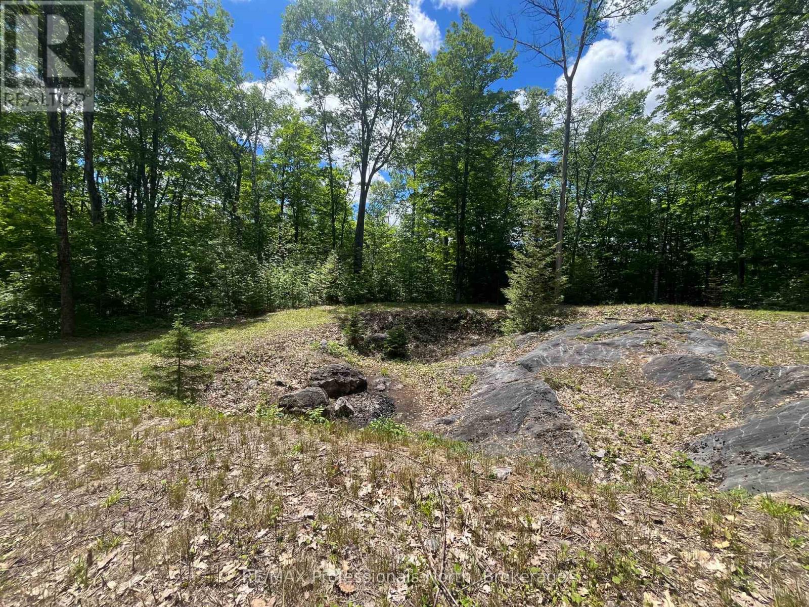 0 Salerno Lake Road, Minden Hills, Ontario  K0M 1X0 - Photo 9 - X13482900