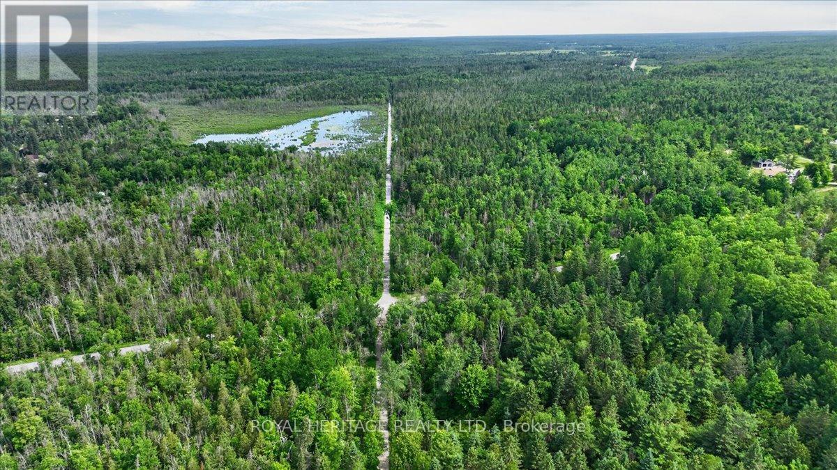 23 River Road, Kawartha Lakes, Ontario  K0M 1N0 - Photo 35 - X12988652