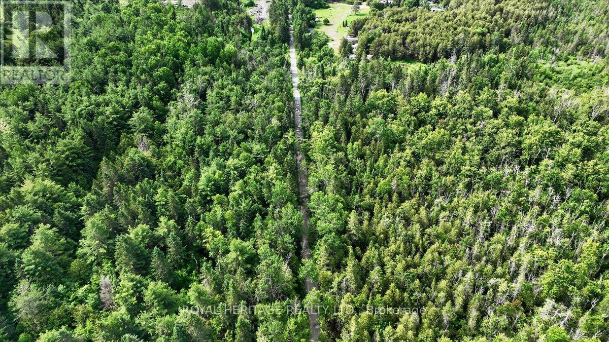 23 River Road, Kawartha Lakes, Ontario  K0M 1N0 - Photo 34 - X12988652