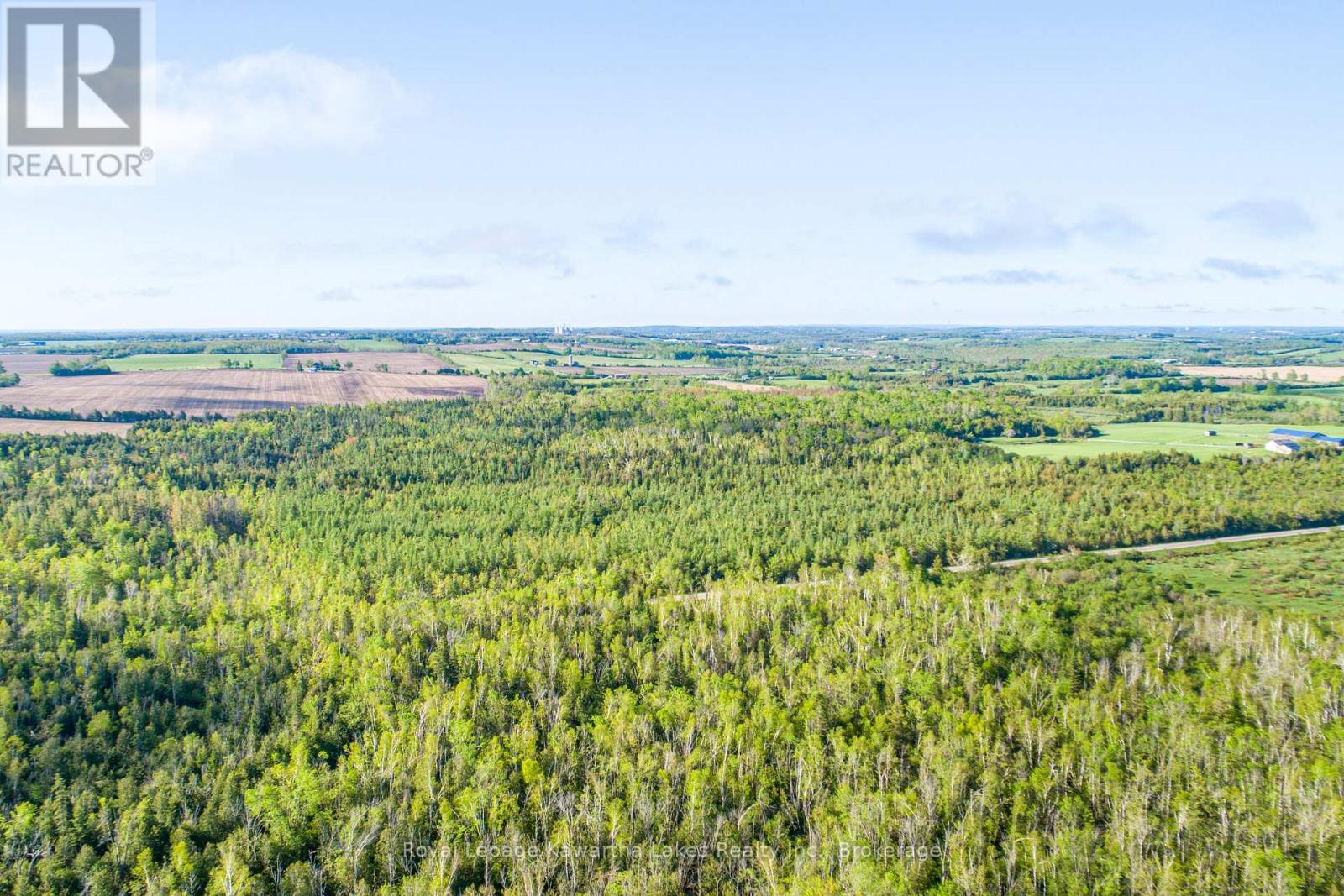 Lot 3 Black School Road, Kawartha Lakes, Ontario  K0M 2C0 - Photo 11 - X13483352