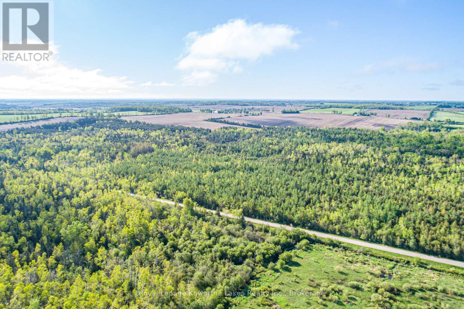 Lot 3 Black School Road, Kawartha Lakes, Ontario  K0M 2C0 - Photo 13 - X13483352