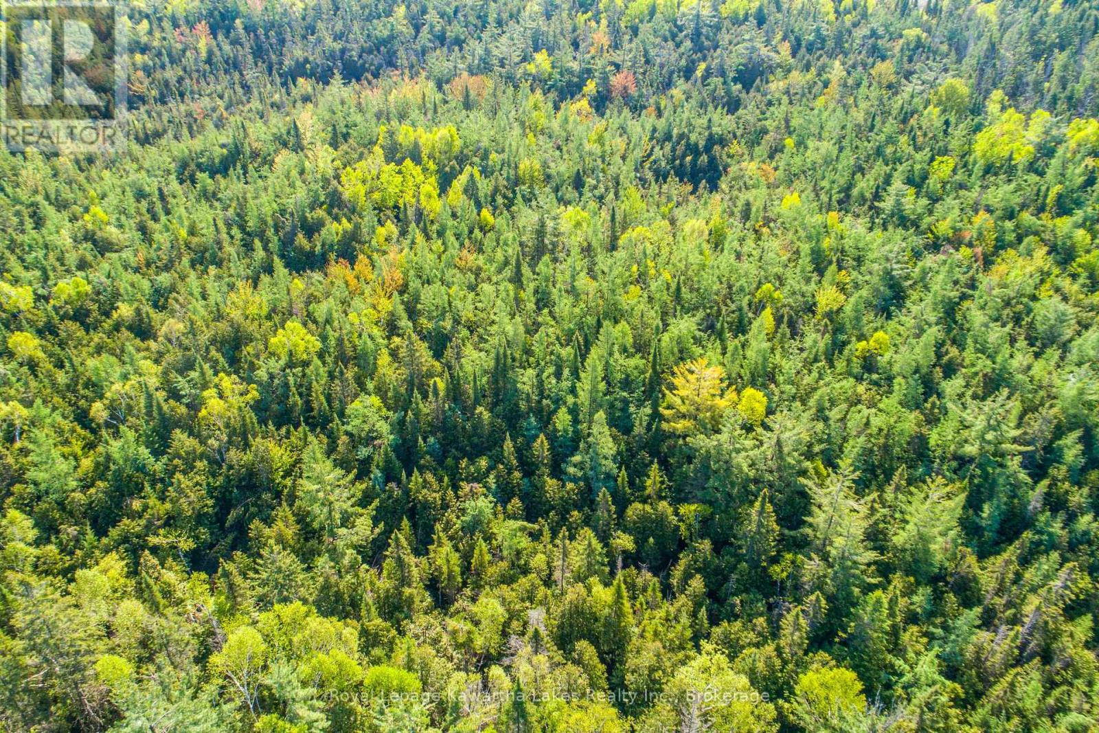 Lot 3 Black School Road, Kawartha Lakes, Ontario  K0M 2C0 - Photo 17 - X13483352