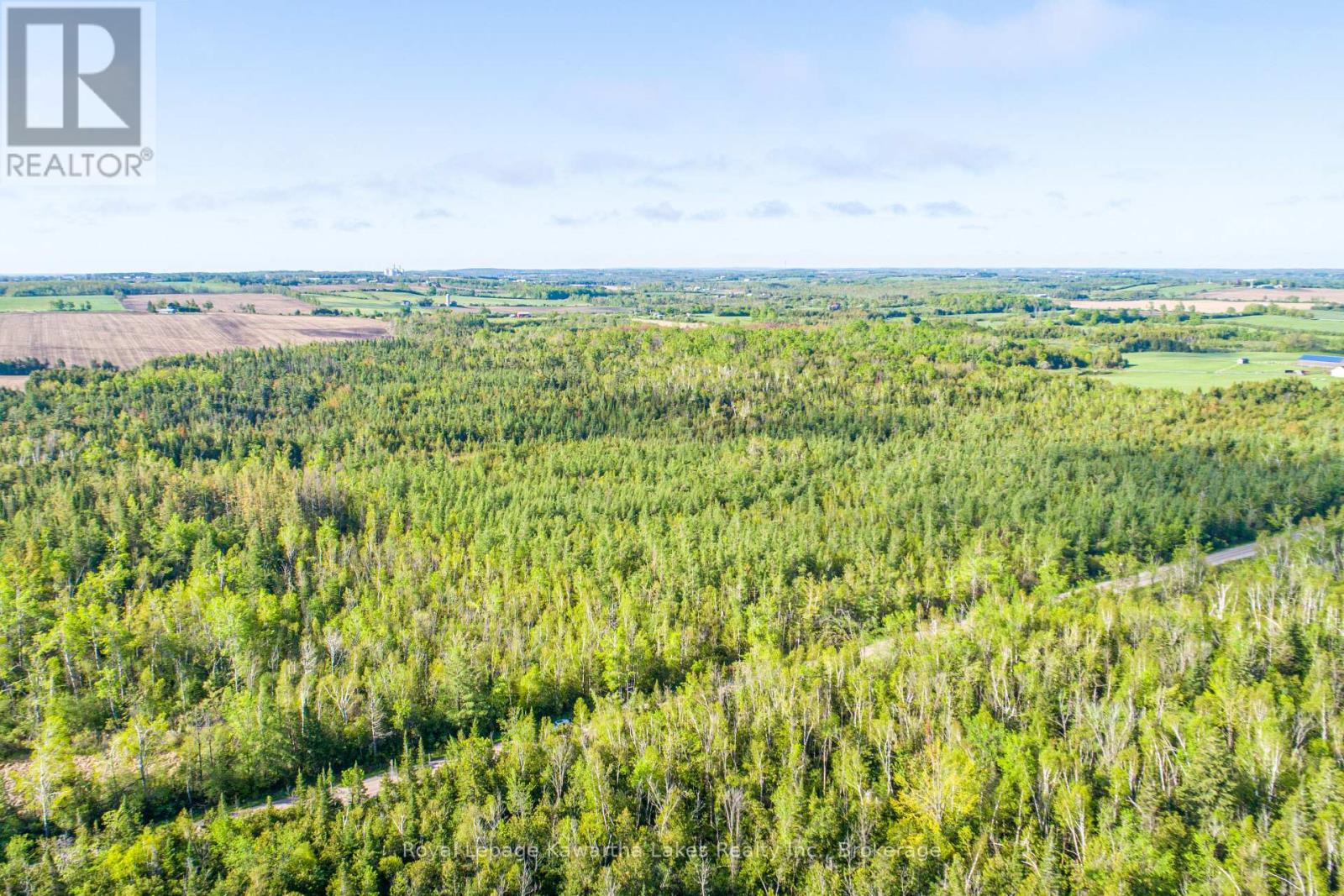 Lot 3 Black School Road, Kawartha Lakes, Ontario  K0M 2C0 - Photo 20 - X13483352
