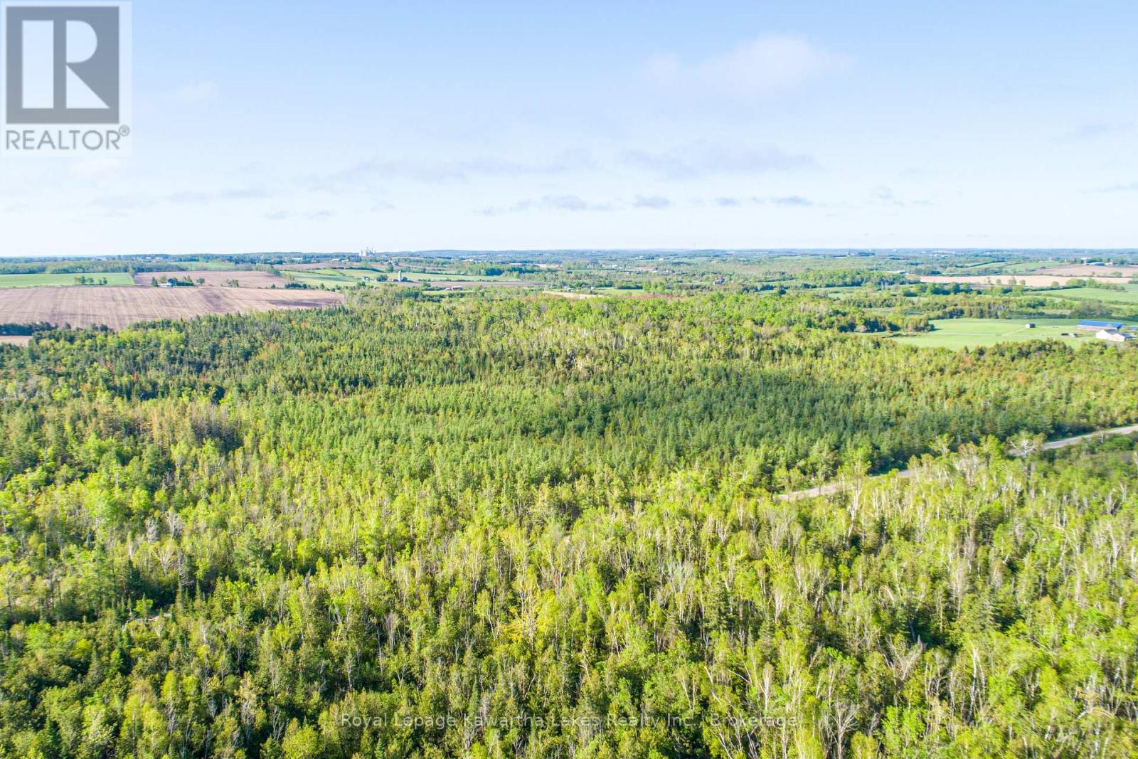 Lot 3 Black School Road, Kawartha Lakes, Ontario  K0M 2C0 - Photo 22 - X13483352