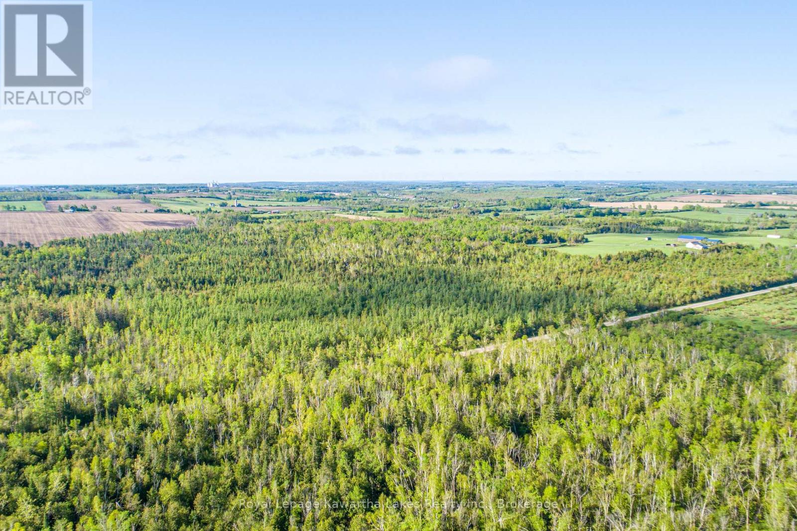 Lot 3 Black School Road, Kawartha Lakes, Ontario  K0M 2C0 - Photo 23 - X13483352