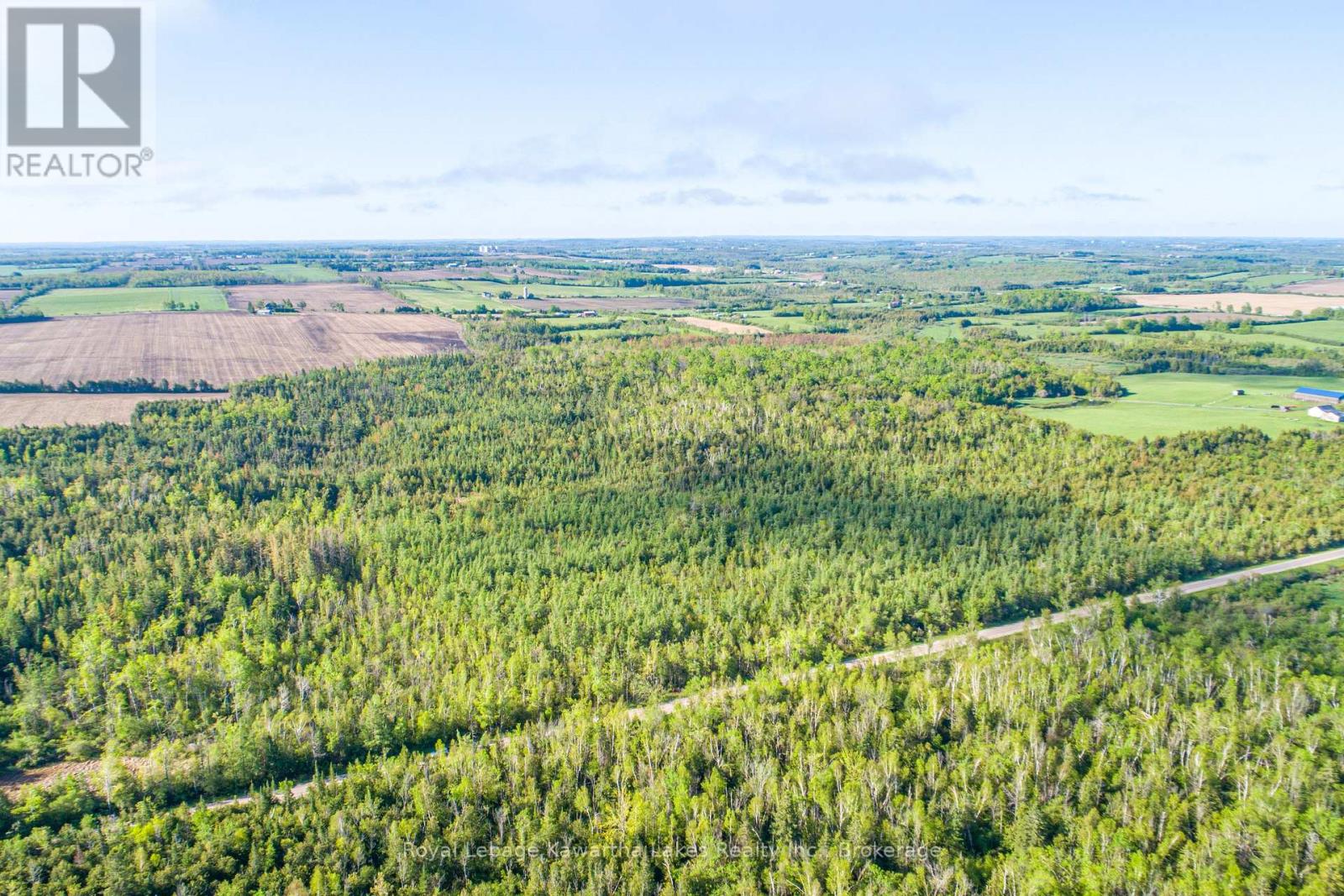 Lot 3 Black School Road, Kawartha Lakes, Ontario  K0M 2C0 - Photo 24 - X13483352