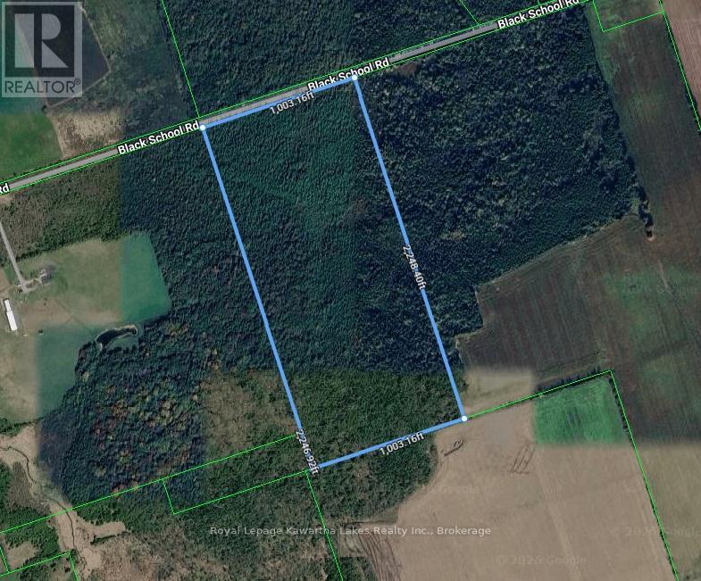 Lot 3 Black School Road, Kawartha Lakes, Ontario  K0M 2C0 - Photo 27 - X13483352