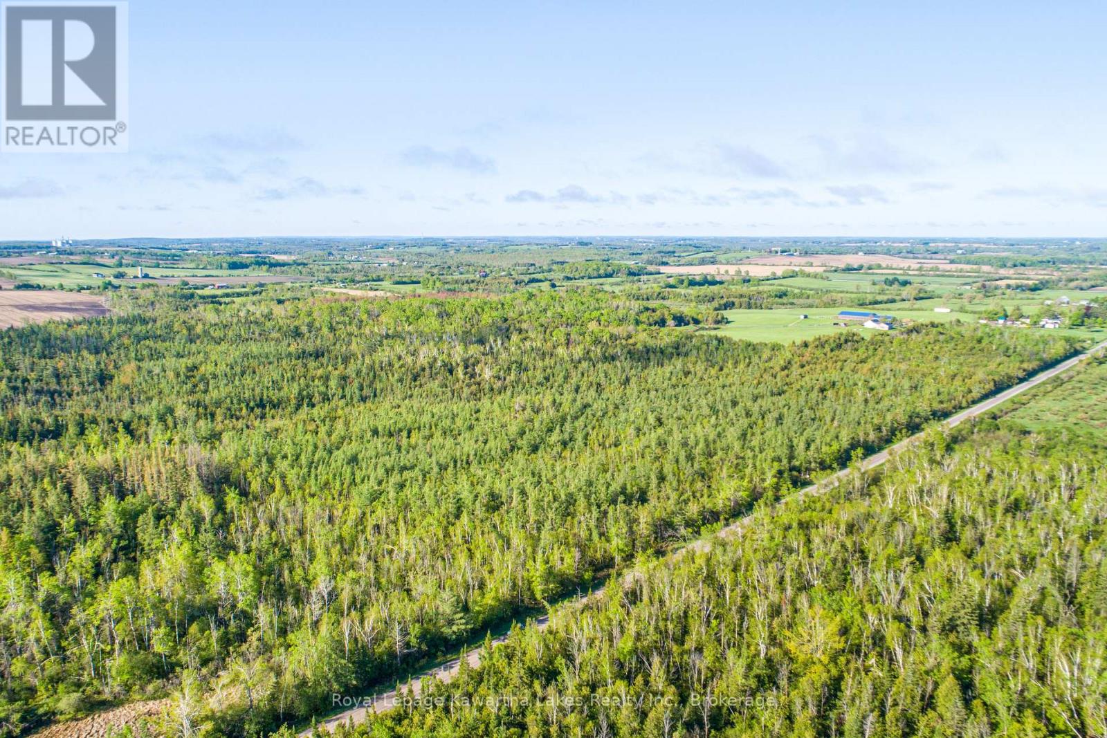 Lot 3 Black School Road, Kawartha Lakes, Ontario  K0M 2C0 - Photo 5 - X13483352