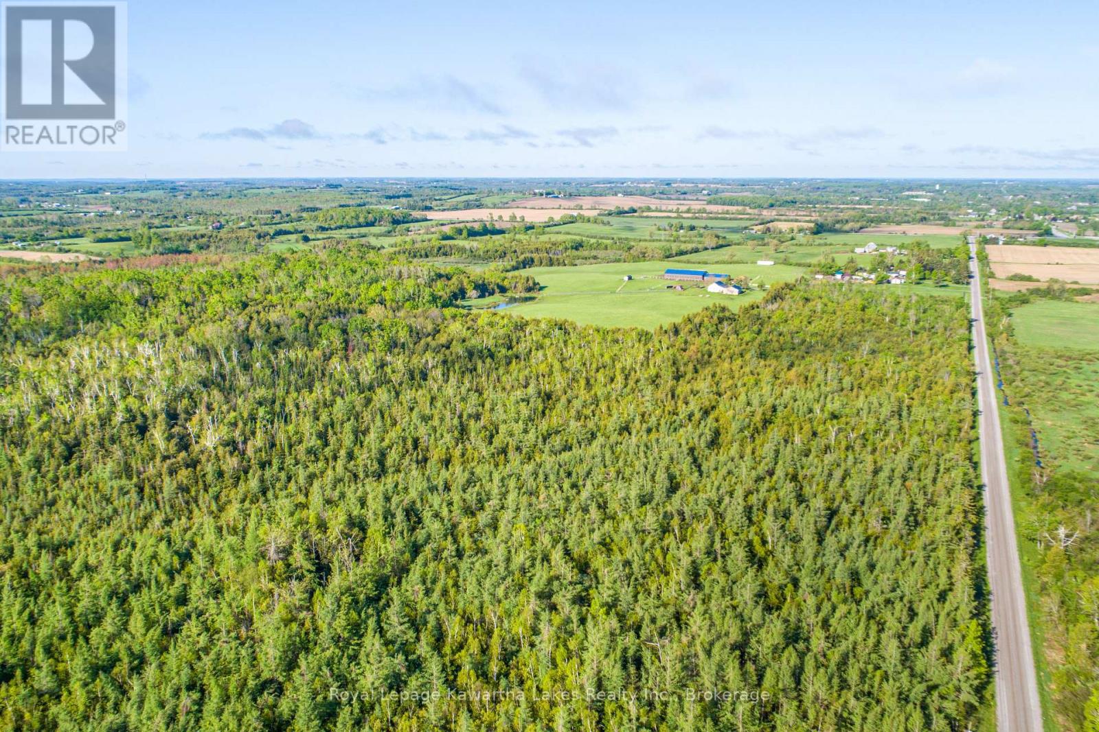 Lot 3 Black School Road, Kawartha Lakes, Ontario  K0M 2C0 - Photo 7 - X13483352
