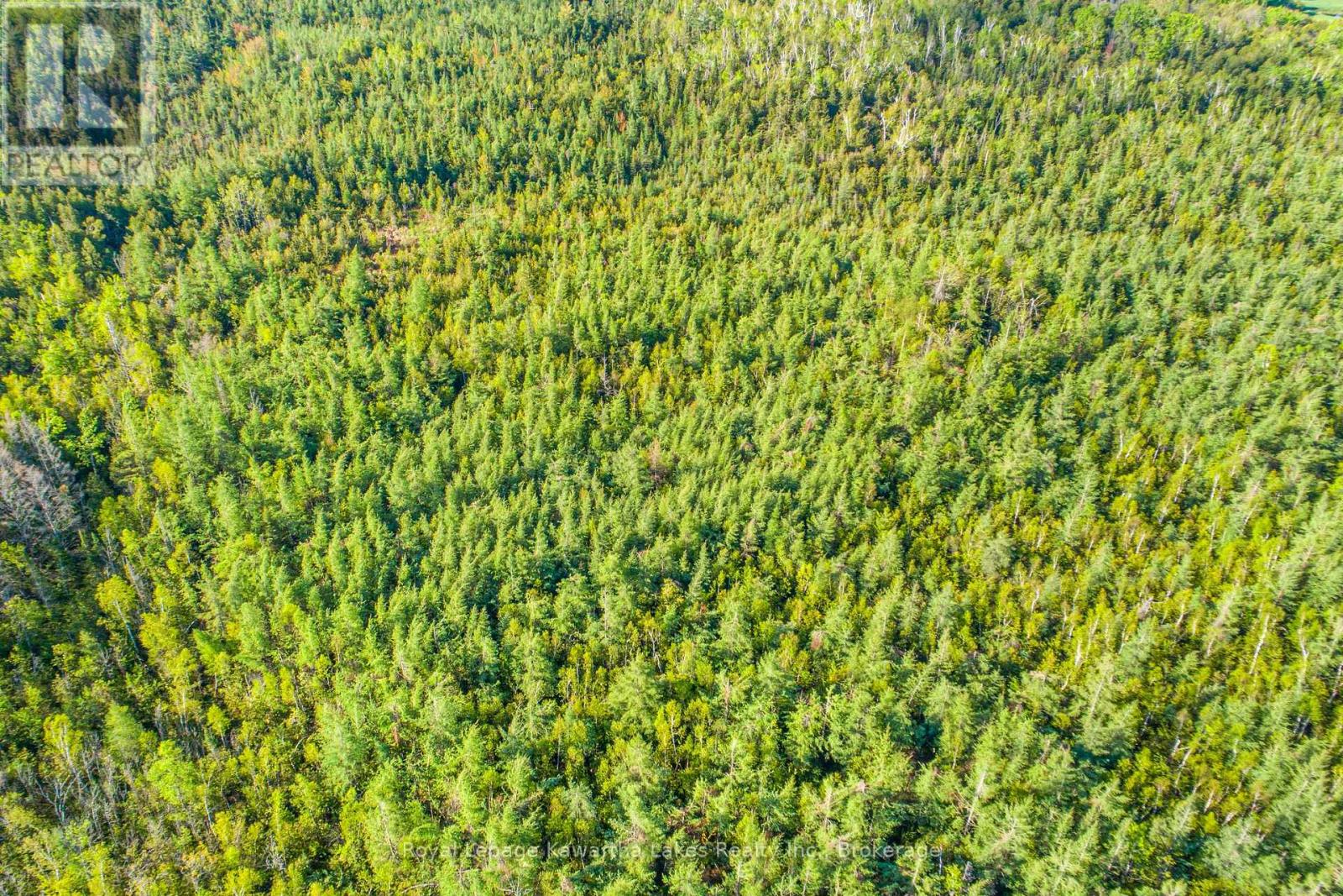 Lot 3 Black School Road, Kawartha Lakes, Ontario  K0M 2C0 - Photo 8 - X13483352